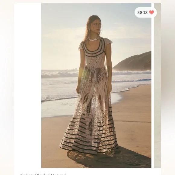 Free People Ethereal Lace Vintage Embroidered Maxi Dress L $500 - Picture 5 of 11